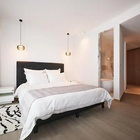 Luxury Apartement In - Croisette 公寓